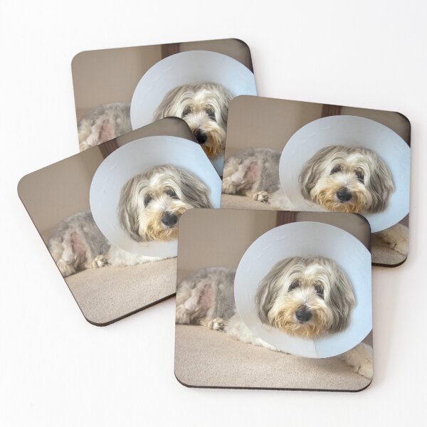 Item preview, Get Well soon designed and sold by Paul Thompson Photography.