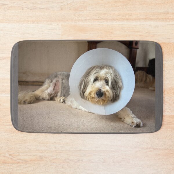 Item preview, Get Well soon designed and sold by Paul Thompson Photography.