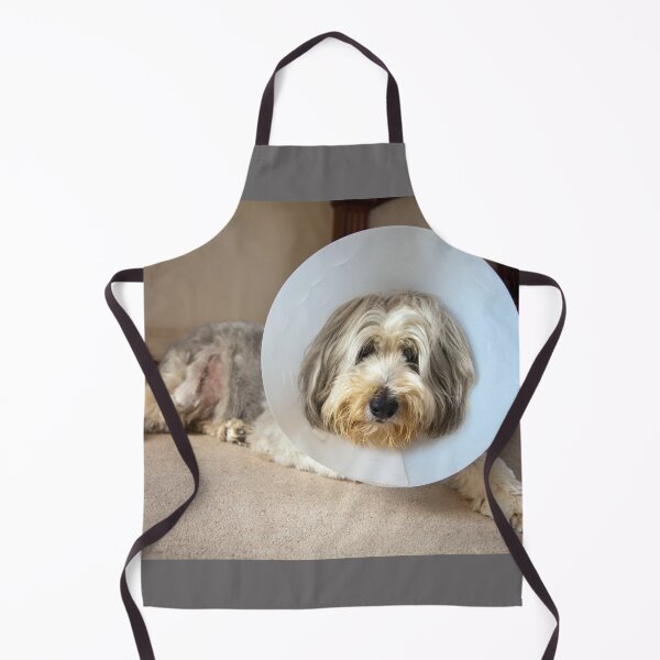 Item preview, Get Well soon designed and sold by Paul Thompson Photography.
