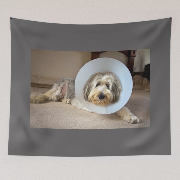 Item preview, Get Well soon designed and sold by Paul Thompson Photography.