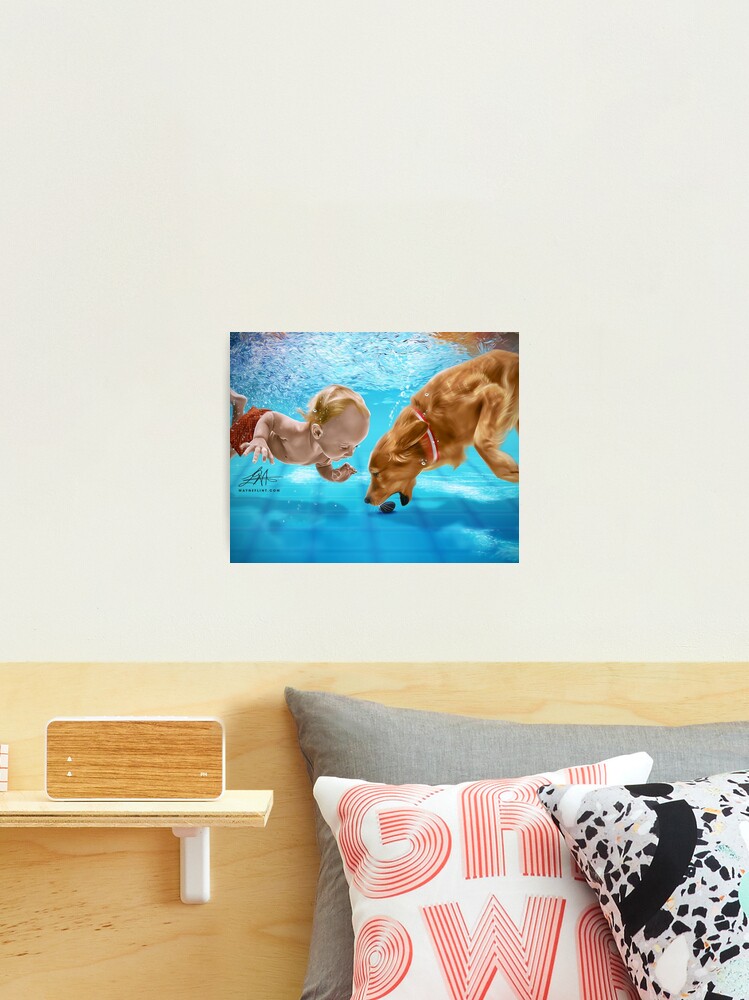 Thumbnail 1 of 3, Photographic Print, Playtime designed and sold by wayneflint.