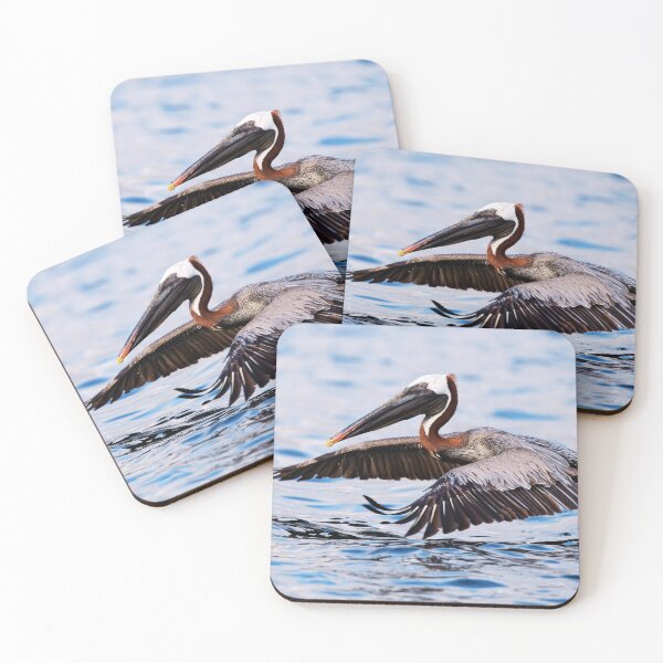 Item preview,  pelican photo with high resolution quality designed and sold by Allyouneed-2.