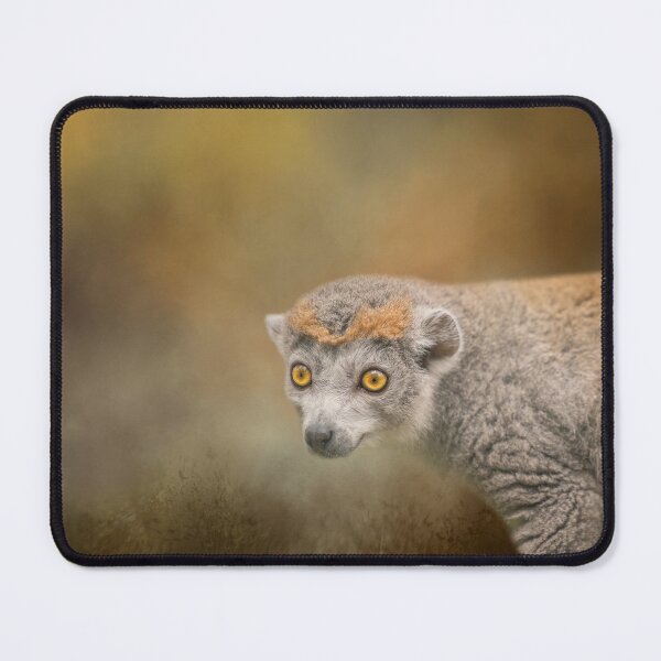 Item preview, Crowned Lemur One designed and sold by Elisabeth Lucas.