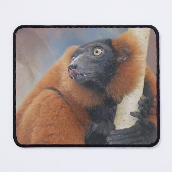 Item preview, Red Ruffed Lemur One designed and sold by Elisabeth Lucas.