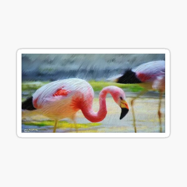 Flamingo in Africa Sticker