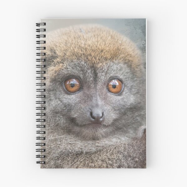 Artikelvorschau, Bambus Lemur One entworfen und verkauft von Elisabeth Lucas.