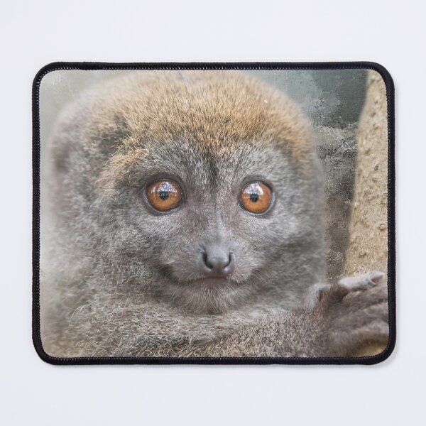 Item preview, Bamboo Lemur One designed and sold by Elisabeth Lucas.