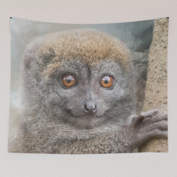 Item preview, Bamboo Lemur One designed and sold by Elisabeth Lucas.