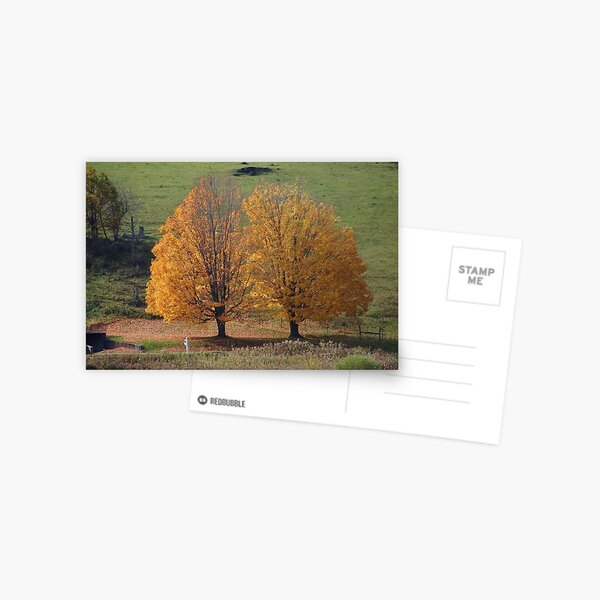 Item preview, Golden Maples designed and sold by paulboggs.