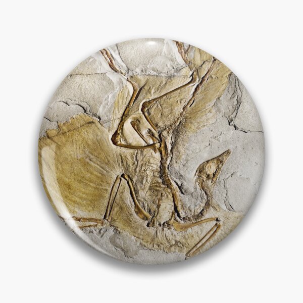 Item preview, Archaeopteryx Enhanced designed and sold by Weston Westmoreland.