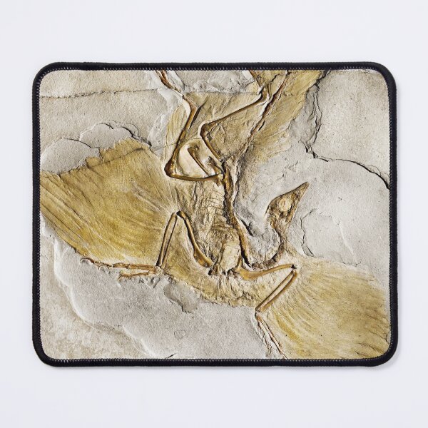 Item preview, Archaeopteryx Enhanced designed and sold by Weston  Westmoreland.