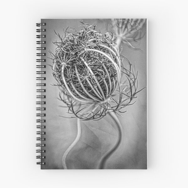 Item preview, Mors Naturalis Stella designed and sold by Lawrence Hutchinson.