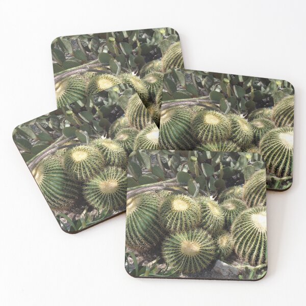Item preview, Barrel Cacti designed and sold by GardenArtworks.
