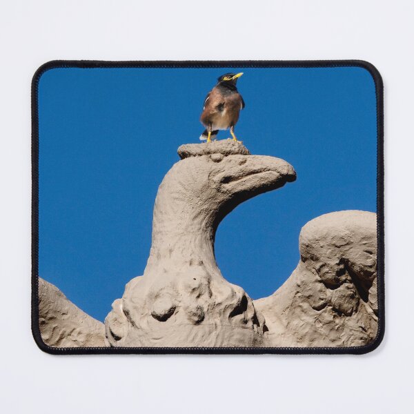 Item preview, Victorious Mynah Bird designed and sold by Alex Preiss.