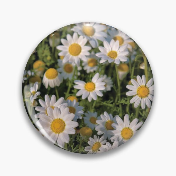 Item preview, Spring field designed and sold by Eros Suà.