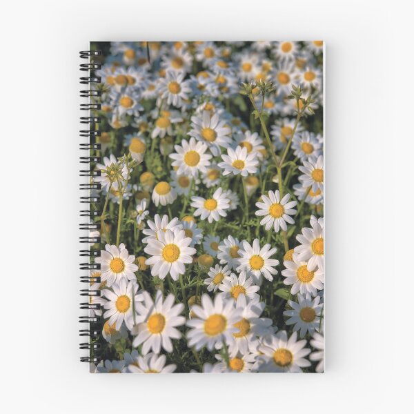 Item preview, Spring field designed and sold by Eros Suà.