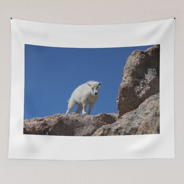 Item preview, Baby Mountain Goat designed and sold by lbmaddox.