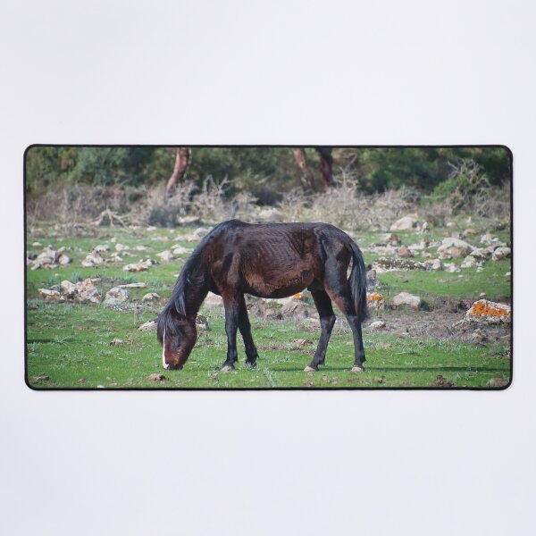 Item preview, Caballo salvaje de Cerdeña designed and sold by Eros Suà.
