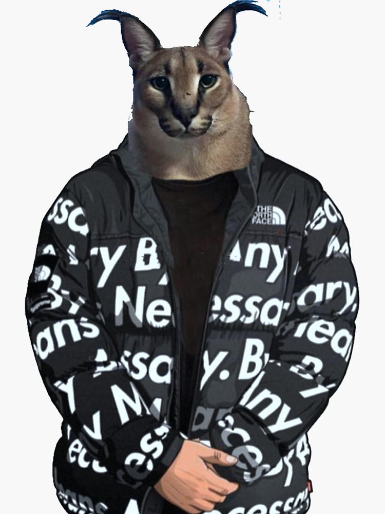  Big Floppa Meme Cat Sweatshirt : Clothing, Shoes & Jewelry