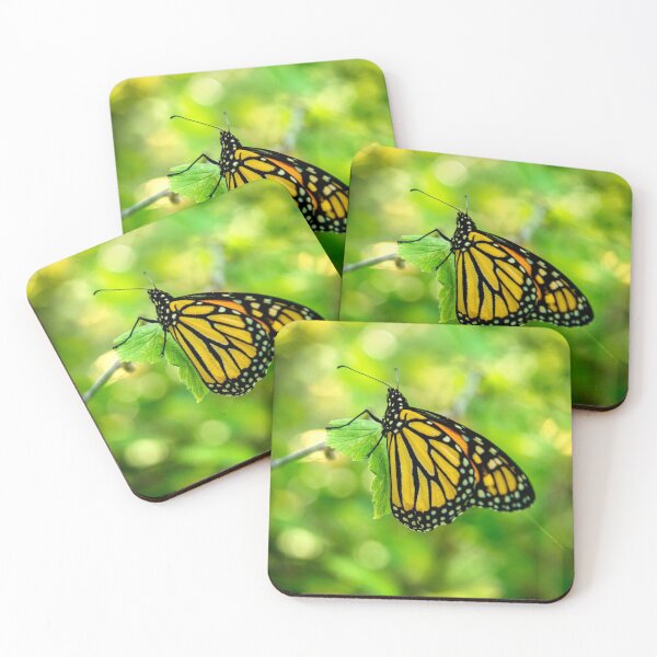 Item preview, The Monarch designed and sold by Lawrence Hutchinson.