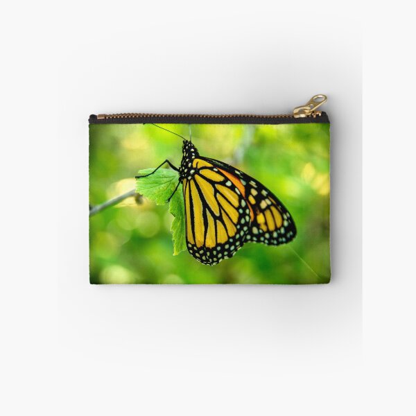 Item preview, The Monarch designed and sold by Lawrence Hutchinson.