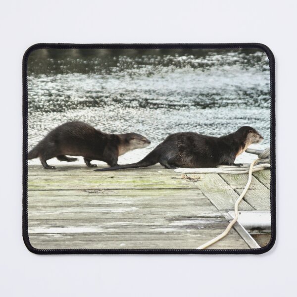 Item preview, Otters sneaking around on the dock designed and sold by lisakayfotos.