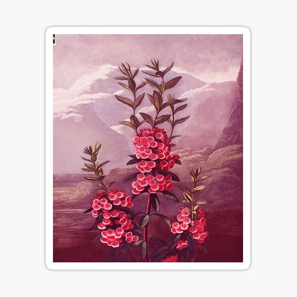 "Digital art " Sticker for Sale by Collection1123 | Redbubble