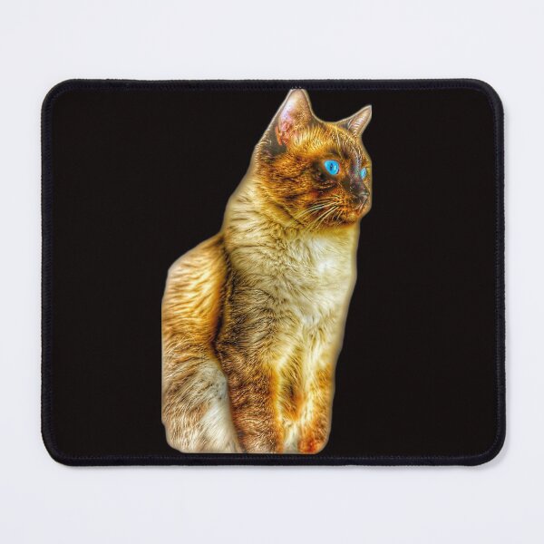 Item preview, Ragdoll cat TSHIRT designed and sold by GOLDFAMILYSHOP.