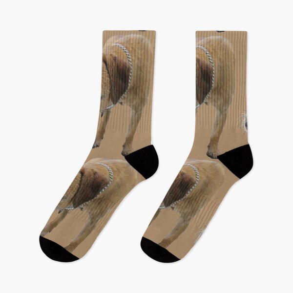 Item preview, Young female border terrier designed and sold by AHELENE.