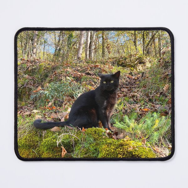 Item preview, Crockett in the wild designed and sold by AHELENE.