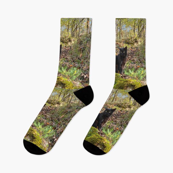 Item preview, Crockett in the wild designed and sold by AHELENE.