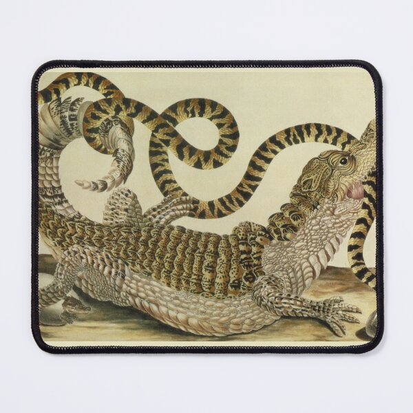 Item preview, Crocodile battles snake pattern designed and sold by aapshop.