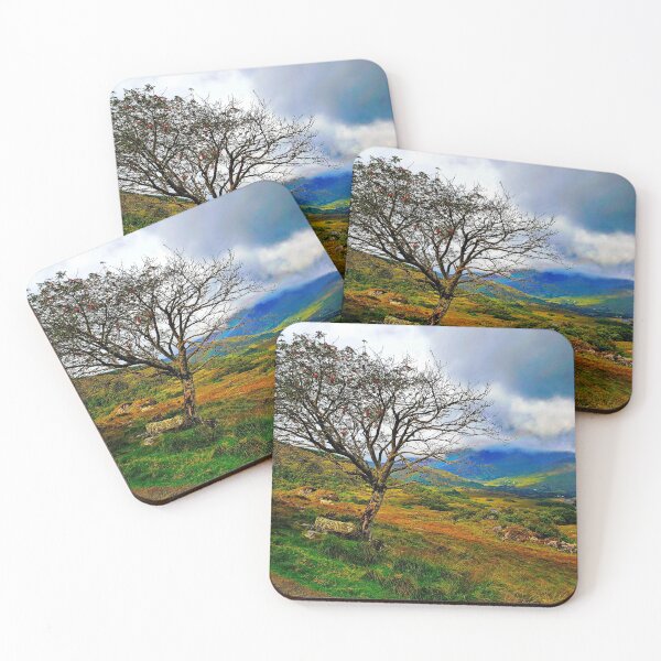 Item preview, The Ladies View, Ring of Kerry designed and sold by Brian Shaw.