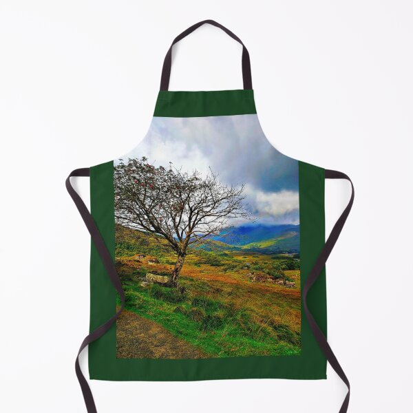 Item preview, The Ladies View, Ring of Kerry designed and sold by Brian Shaw.