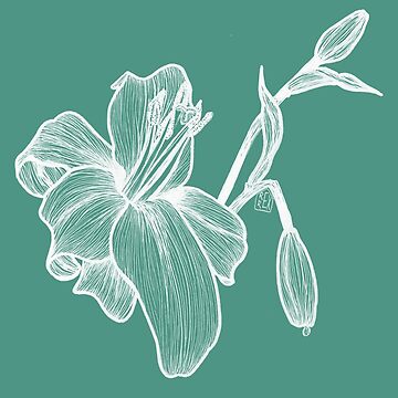 Artwork thumbnail, Lily in Green by RREX