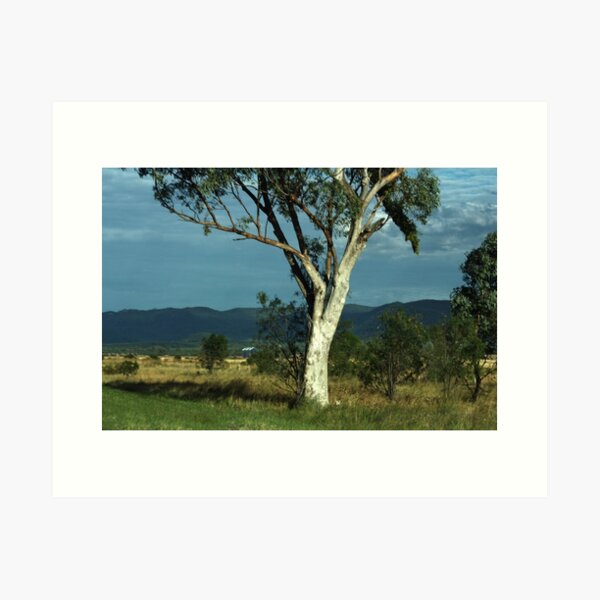 Item preview, Along the road to Narrabri  designed and sold by myraj.