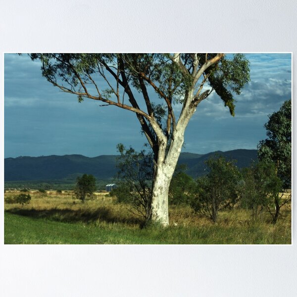 Item preview, Along the road to Narrabri  designed and sold by myraj.