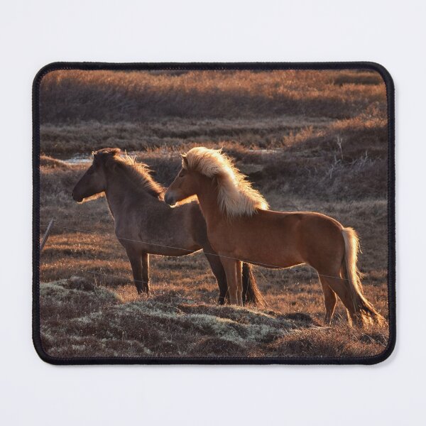 Item preview, Icelandic horses in the field designed and sold by elisainiceland.