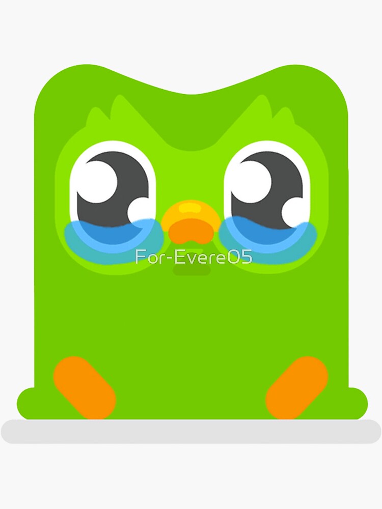 "duolingo" Sticker by ForEvere05 Redbubble