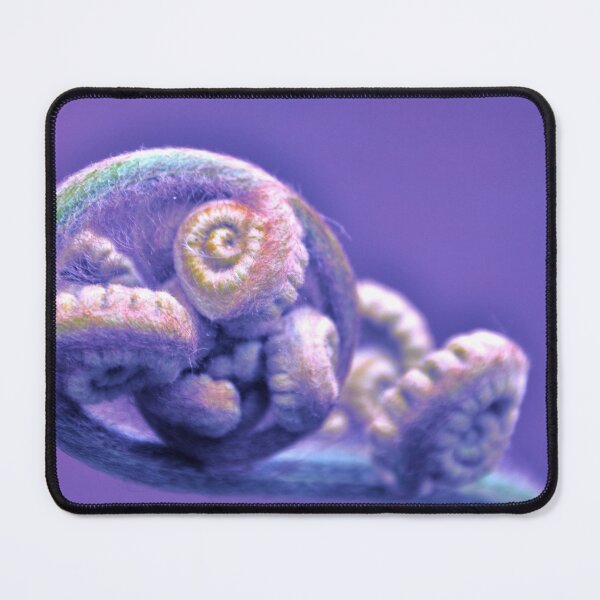 Item preview, Debutante designed and sold by Valerie Rosen Photography.