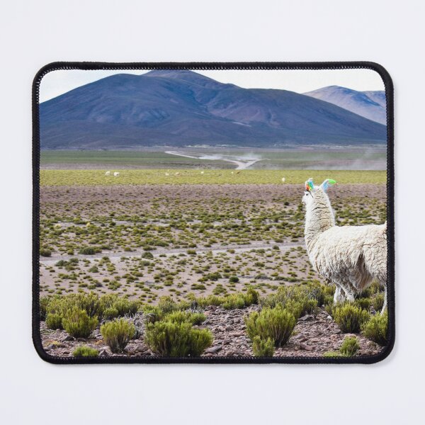 Item preview, Llama in the Andes designed and sold by Jordan Hinsch.