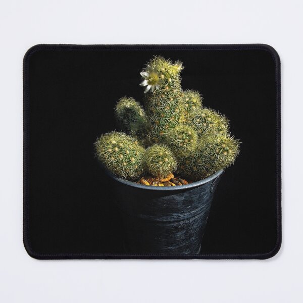 Item preview, Cacti Flowers designed and sold by Photography & Emotive Ai.