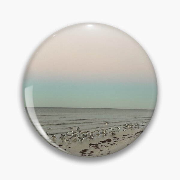 Item preview, Good Morning Siesta Key Seagulls  designed and sold by jessicaleah15.