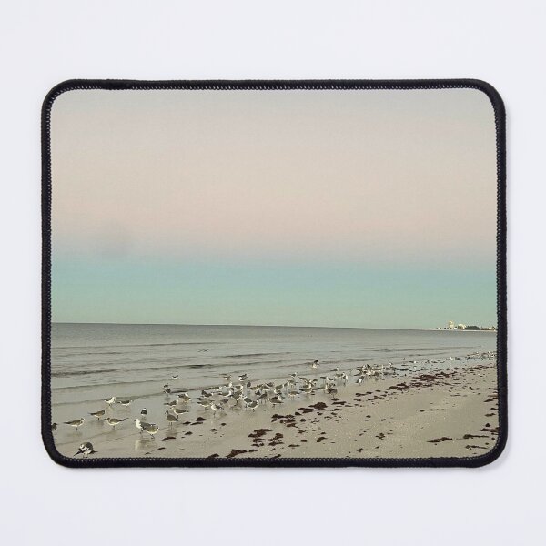 Item preview, Good Morning Siesta Key Seagulls  designed and sold by jessicaleah15.
