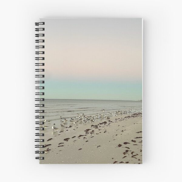 Item preview, Good Morning Siesta Key Seagulls  designed and sold by jessicaleah15.