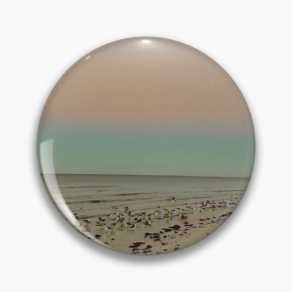 Item preview, Good Morning Siesta Key Seagulls  designed and sold by jessicaleah15.
