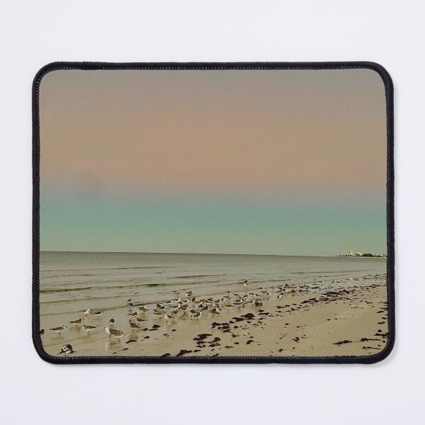 Item preview, Good Morning Siesta Key Seagulls  designed and sold by jessicaleah15.