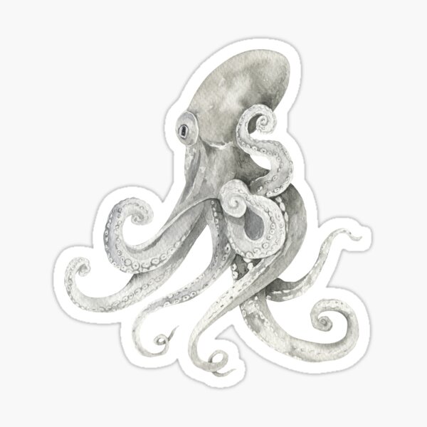 Octopus Tentacle Kraken' Sticker