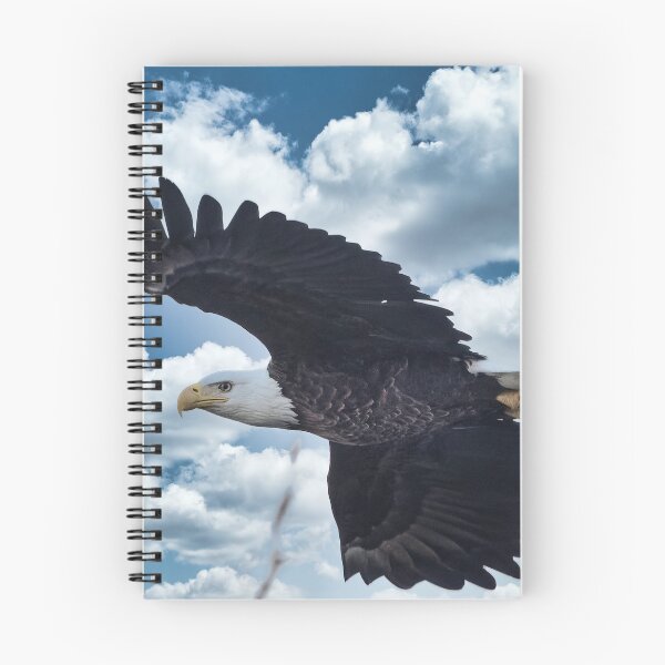 Item preview, Bald Eagle in flight designed and sold by KDartisticeye.