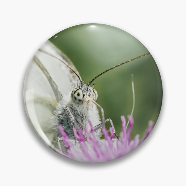 Item preview, Portrait of a large cabbage white butterfly designed and sold by BBPGallery.